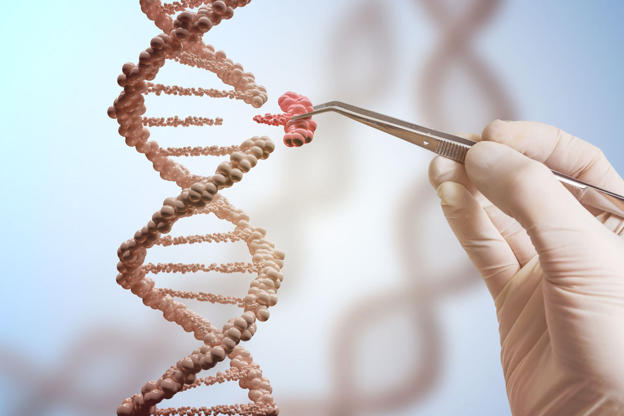 Development of genetic tests